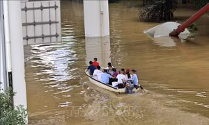 Mưa lũ hoành hành gây nhiều thiệt hại tại Trung Quốc, Niger