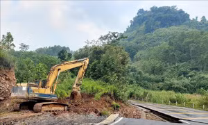 Quảng Trị: Thông xe tuyến tránh tạm qua đoạn đứt gãy, sụt lún trên Quốc lộ 15D