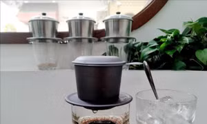 Cà phê buổi sáng kích hoạt 'công tắc' kéo dài tuổi thọ