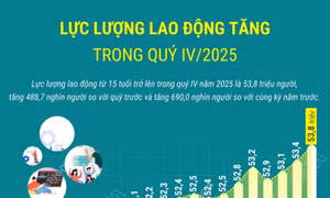 Lực lượng lao động tăng trong quý IV/2025