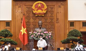 Thủ tướng: Ngành giáo dục phải vươn lên mạnh mẽ, tiếp tục đổi mới tư duy quản lý