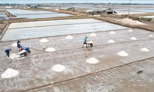 Nhiều tiềm năng khai thác sản phẩm du lịch muối Bạc Liêu