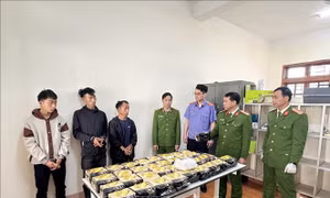 Phát hiện khoảng 165 kg ma túy trong cao điểm chống buôn lậu dịp Tết