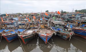 Cập nhật liên tục thông tin diễn biến của áp thấp nhiệt đới, chủ động ứng phó với thiên tai