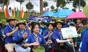 Nâng cao năng lực quản lý, điều phối hoạt động tình nguyện
