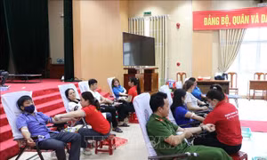 Tổ chức hiệu quả các hoạt động hiến máu tình nguyện