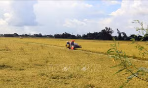 Kiên Giang phát huy hiệu quả dự án VnSAT