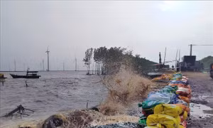 Bạc Liêu: Công bố tình huống khẩn cấp sự cố sạt lở đê biển Đông