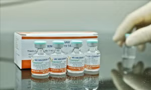 Hướng dẫn quản lý, sử dụng, công khai tài chính Quỹ vaccine phòng COVID-19