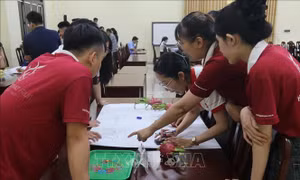 Nâng chuẩn nhà đóng gói trái cây xuất khẩu