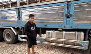 Bắt giữ các đối tượng đánh và gây tai nạn chết người rồi bỏ chạy