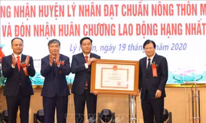 Phó Thủ tướng Trịnh Đình Dũng dự Lễ công bố huyện Lý Nhân đạt chuẩn nông thôn mới