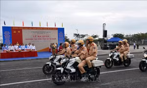 Kết hợp phòng ngừa với tấn công, đánh trúng, đúng các loại tội phạm 