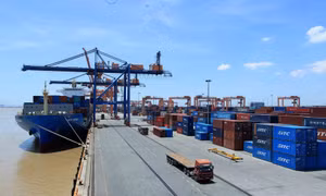Phạt Cảng VIMC Đình Vũ vì đón tàu container chưa đúng công năng