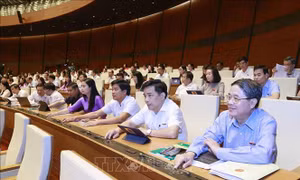 Nâng thời hạn thị thực điện tử lên đến 90 ngày