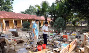 Đánh giá, khắc phục thiệt hại do bão số 11 gây ra với ngành giáo dục