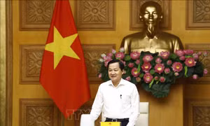 Kịp thời cảnh báo các nguy cơ ảnh hưởng đến giá cả, lạm phát để ứng phó 