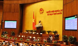 Sáng nay 12/11, Quốc hội phê chuẩn việc bổ nhiệm ba thành viên Chính phủ và Thẩm phán Tòa án nhân dân tối cao