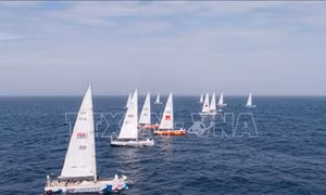 Đội Việt Nam tham gia Giải đua thuyền buồm Clipper Race đã về đích thứ 5