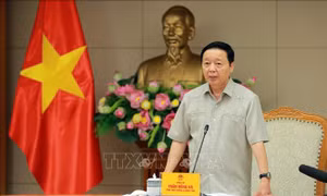 Khẩn trương hoàn thiện Báo cáo nghiên cứu tiền khả thi Dự án đầu tư đường sắt tốc độ cao trên trục Bắc - Nam