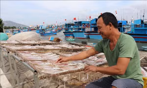 Giá nhiều loại hải sản khô tăng cao dịp cận Tết