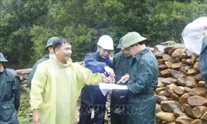 Quân khu 5 yêu cầu thực hiện nghiêm phương châm '4 tại chỗ'