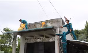 Quảng Ngãi: Chủ động từ sớm, từ xa ứng phó với bão số 13