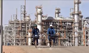 Tây Ban Nha cáo buộc Algeria ngăn chặn các hoạt động thương mại song phương