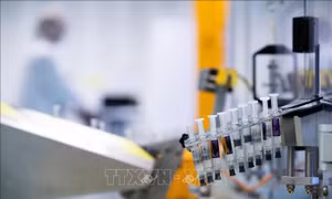 WHO kêu gọi các nước chung tay nghiên cứu vaccine phòng COVID-19