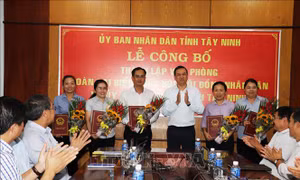Thành lập Văn phòng Đoàn đại biểu Quốc hội, HĐND và UBND tỉnh Tây Ninh