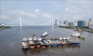 Trung Quốc yêu cầu các tàu đánh cá trở về cảng, chuẩn bị ứng phó bão Yagi
