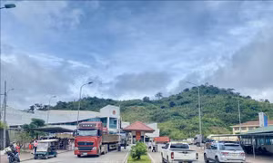 Lý do khiến xuất nhập khẩu qua Cửa khẩu quốc tế Cầu Treo giảm mạnh