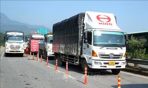 Lào Cai hỗ trợ doanh nghiệp, thương nhân xuất nhập khẩu hàng nông sản
