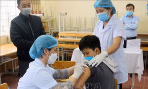 Hà Nam có 100% xã, phường, thị trấn 'vùng xanh'