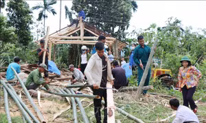 Quảng Ngãi: Chung tay giúp người dân vùng cao dựng lại nhà sau bão Noru