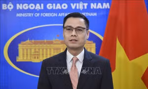 Việt Nam kỳ vọng APEC tiếp tục là diễn đàn chủ chốt về hợp tác và liên kết kinh tế
