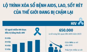Vì sao nỗ lực xóa sổ bệnh AIDS, lao, sốt rét của thế giới lần đầu tiên bị giảm xuống?