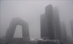 Ô nhiễm không khí nghiêm trọng tại thủ đô Bắc Kinh và New Delhi 