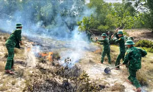 Bộ đội Biên phòng phối hợp kịp thời dập tắt cháy rừng