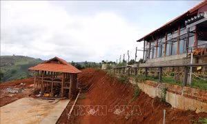 Chấn chỉnh vi phạm về đất đai, xây dựng ở huyện Kon Plông, Kon Tum