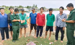 Kịp thời cứu vớt nhiều thuyền viên trôi dạt trên biển