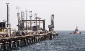 OPEC bù lượng dầu thiếu hụt sau khi Mỹ tái cấm vận Iran