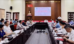 Đổi mới mạnh mẽ phương thức hoạt động đối ngoại nhân dân