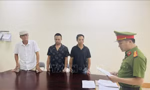 Bắt tạm giam 4 đối tượng vi phạm quy định về quản lý, khai thác, bảo vệ rừng và lâm sản