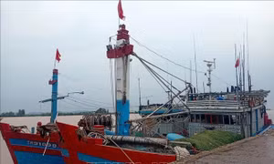 Thanh Hóa chủ động các biện pháp ứng phó áp thấp nhiệt đới