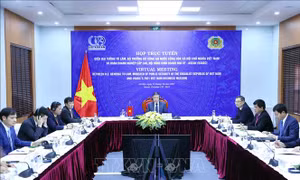 Thúc đẩy quan hệ hợp tác song phương Việt Nam - Hoa Kỳ