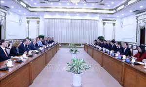 Thúc đẩy hợp tác phát triển kinh tế xanh giữa TP Hồ Chí Minh và Bang Styria