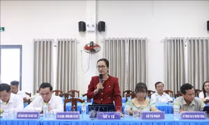 Bến Tre phát triển ít nhất 12.444 người tham gia bảo hiểm xã hội tự nguyện