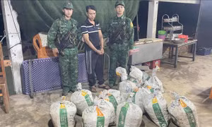 Quảng Ngãi: Phát hiện vụ vận chuyển, tàng trữ gần 400 kg thuốc nổ