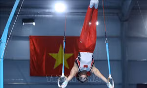 Đội tuyển Thể dục dụng cụ Việt Nam sẵn sàng lên đường dự Cúp thế giới